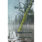 Honey Island Swamp Child: Disquieting Stories for Autumn - Paperback