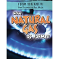How Natural Gas Is Formed - Library Binding