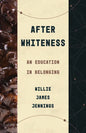 After Whiteness: An Education in Belonging - Paperback