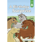 A Birthday Surprise - Hardcover