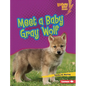 Meet a Baby Gray Wolf - Library Binding