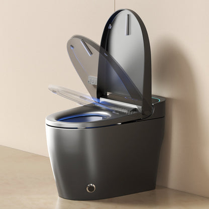 Unique Smart Toile,  One Piece Toilet with Bidet Built In,Intelligent Toilet ...