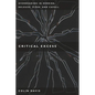Critical Excess: Overreading in Derrida, Deleuze, Levinas, A'Iaek and Cavell - Paperback