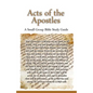 Acts of the Apostles, A Small Group Bible Study Guide - Paperback