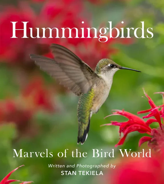 Hummingbirds: Marvels of the Bird World - Paperback
