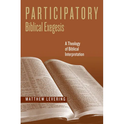 Participatory Biblical Exegesis: A Theology of Biblical Interpretation - Paperback
