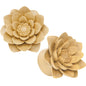 3/4 Organic Crocodile Wood Lily Hand Carved Plug Set