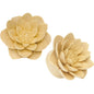 1 inch Organic Crocodile Wood Lily Hand Carved Plug Set
