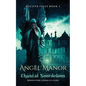 Angel Manor - Paperback