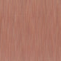 Brown Space Desert Honey Cotton Fabric 44"/45" Per Yard