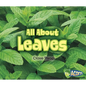 All about Leaves - Paperback