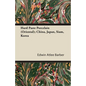 Hard Paste Porcelain (Oriental); China, Japan, Siam, Korea - Paperback