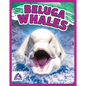 Beluga Whales - Paperback