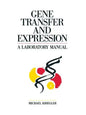 Gene Transfer and Expression: A Laboratory Manual - Paperback