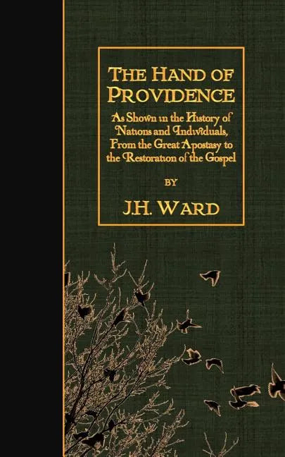 The Hand of Providence: As Shown in the History of Nations and Individuals, From the Great Apostasy to the Restoration of the Gospel - Paperback
