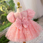 Little Girl Birthday Princess Dress Years Old Piano Performance