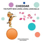Cheddar the Puppy Who Loves, Loves, Loves Balls - Paperback
