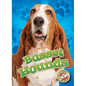 Basset Hounds - Library Binding