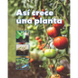 Así Crece Una Planta - Paperback