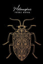 Metamorphosis - Paperback