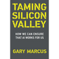 Taming Silicon Valley: How We Can Ensure That AI Works for Us - Paperback