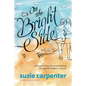 On the Bright Side: A Mother's Story of Love and Healing through Her Daughter's Autism - Paperback