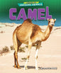 Camel - Library Binding