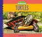 Turtles - Library Binding