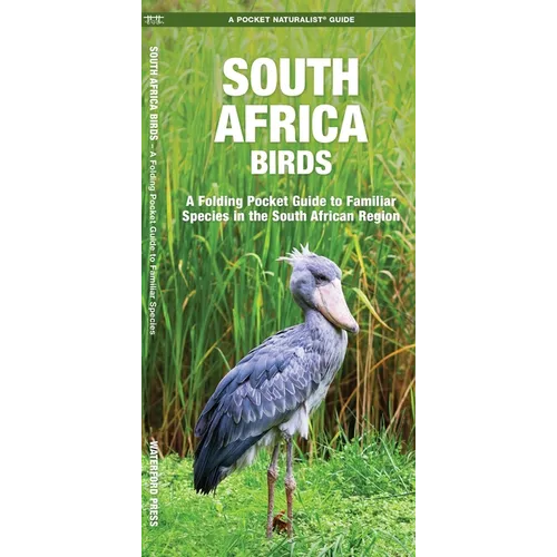 South Africa Birds: A Folding Pocket Guide to Familiar Species in the South African Region - Paperback