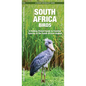 South Africa Birds: A Folding Pocket Guide to Familiar Species in the South African Region - Paperback