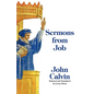 Sermons from Job - Paperback