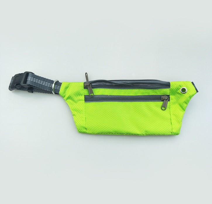 Dog collar without hands