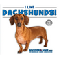 I Like Dachshunds! - Library Binding