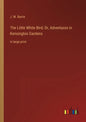 The Little White Bird; Or, Adventures in Kensington Gardens: in large print - Paperback