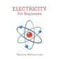 Electricity for Beginners - Paperback