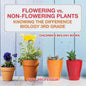 Flowering vs. Non-Flowering Plants: Knowing the Difference - Biology 3rd Grade Children's Biology Books - Paperback