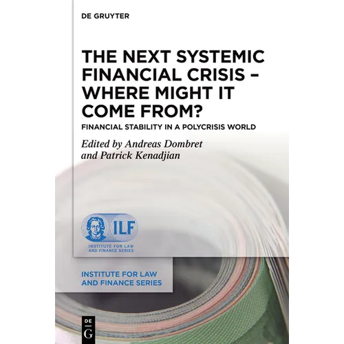The Next Systemic Financial Crisis - Where Might It Come From?: Financial Stability in a Polycrisis World - Hardcover