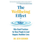 The Wellbeing Effect - Paperback