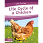 Life Cycle of a Chicken - Paperback