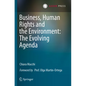 Business, Human Rights and the Environment: The Evolving Agenda - Paperback