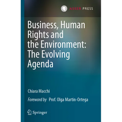 Business, Human Rights and the Environment: The Evolving Agenda - Paperback