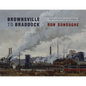 Brownsville to Braddock: Paintings and Observations of the Monongahela Valley - Hardcover