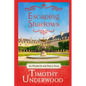 Escaping Shadows: An Elizabeth and Darcy Story - Paperback