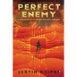Perfect Enemy: A Jake Rush Sci-Fi Techno-Military Thriller - Paperback