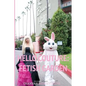 Hello Couture: Fetish Garden - Hardcover
