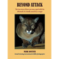 Beyond Attack - Hardcover