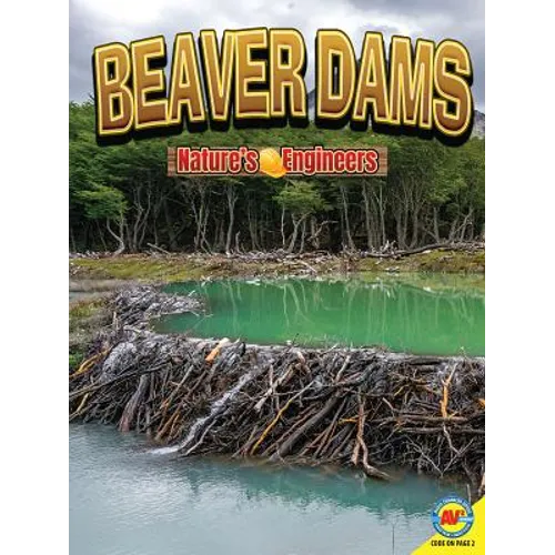 Beaver Dams - Paperback