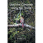 Until the Cardinals Carry Me Home - Paperback