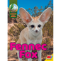 Fennec Fox - Library Binding