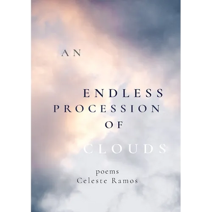 An Endless Procession of Clouds - Paperback
